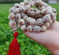 Jaap Mala - Tulsi 108 Beads